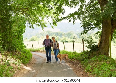 Happy Senior Couple With Dog Walking On Hiking Trail In Summer