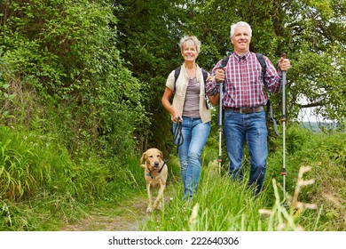 Happy Senior Couple Doing Nordic Walking With Dog In A Forest