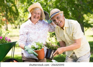 Happy Senior Couple Gardening On A Sunny Day