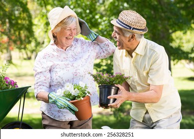 Happy Senior Couple Gardening On A Sunny Day