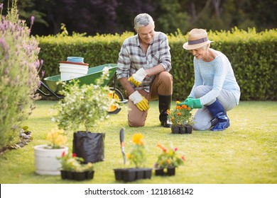 Happy senior couple gardening together in backyard - Powered by Shutterstock