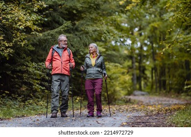 Happy senior couple hiking in autumn forest. - Powered by Shutterstock