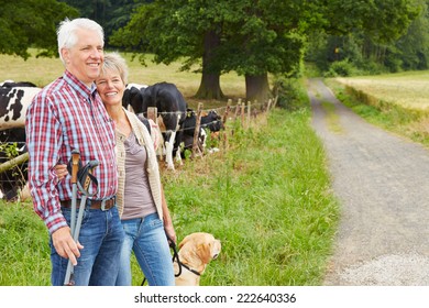 Happy Senior Couple Hiking With Dog In Nature In Summer