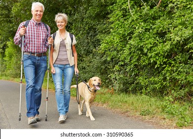 Happy Senior Couple Hiking With Labrador Retriever Dog In Summer