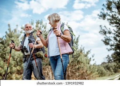 Happy senior couple hiking with trekking sticks and backpacks at the young pine forest. Enjoying nature, having a good time on their retirement
