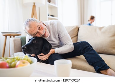 A Happy Senior Couple Indoors With A Pet Dog At Home.