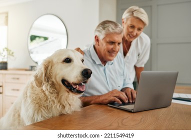 Happy senior couple, laptop and dog at table together in living room. Elderly man and woman research retirement plan or financial asset management on internet in home with cute pet in Switzerland - Powered by Shutterstock