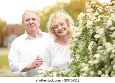 Happy Senior Couple Near Blossom Bushes In Spring Park