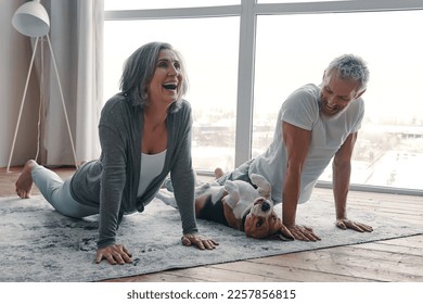 Happy senior couple practicing yoga with their dog at home together - Powered by Shutterstock