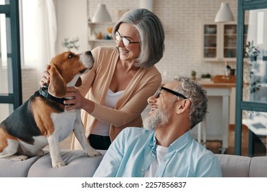 Happy senior couple smiling and taking care of their dog while spending time at home together - Powered by Shutterstock