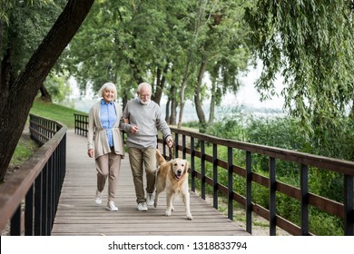 happy senior couple walking with adorable dog in park - Powered by Shutterstock