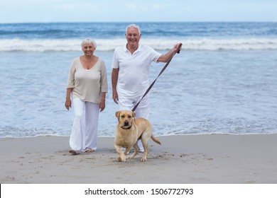 Happy Senior Couple Walking On The Beach With Dog