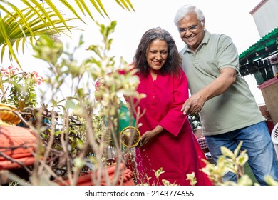 Happy Senior Couple Watering Plants In Garden .