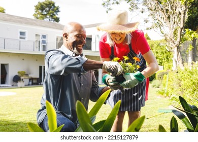 Happy Senior Diverse Couple Working In Garden. Spending Quality Time At Home And Retirement Concept.