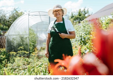 Happy Senior Farmer Woman In Straw Hat And Apron Holding Garden Tool And Looking At Camera. Smiling Older Woman Gardening, Standing Against Of Greenhouse On Sunny Day. Gardening Hobby In Retirement.