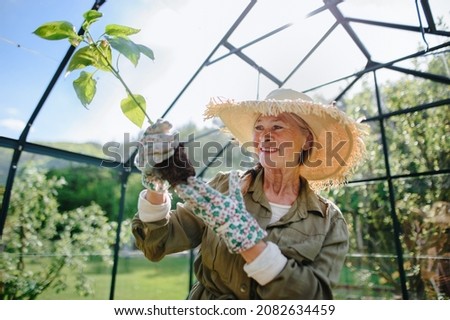 Similar – Image, Stock Photo greenhouse Greenhouse