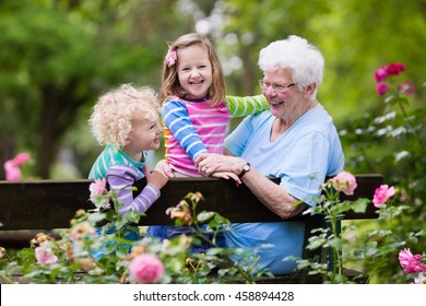 Happy senior lady playing with little boy and girl in blooming rose garden. Grandmother with grand children sitting on a bench in summer park with beautiful flowers. Kids gardening with grandparent. - Powered by Shutterstock