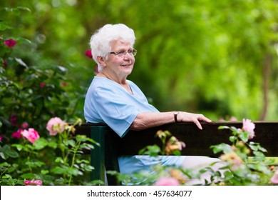 Happy Senior Lady Sitting On Wooden Bench Blooming Rose Garden. Grandmother Picking Fresh Flowers. Retired Elderly Woman Gardening On Sunny Summer Day. Active Retirement And Health Care Concept.