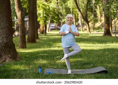 Happy Senior Lady In Tracksuit Does Tree Pose Practicing Yoga Asana In Park