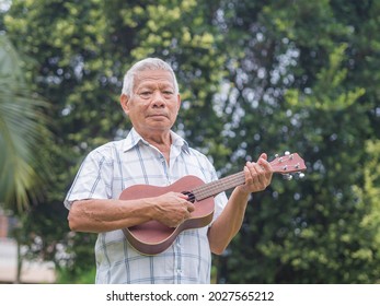 A happy senior man with short gray hair playing the ukulele, smiling and looking at the camera while standing in a garden. Enjoy life after retiring. Concept of aged people and relaxation.