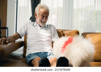 A Happy Senior Man Sitting On A Sofa Indoors With A Pet Dog At Home.