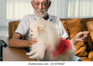 A Happy Senior Man Sitting On A Sofa Indoors With A Pet Dog At Home.