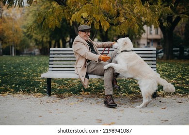 Happy senior man sitting on bench and and training his dog outdoors in city. - Powered by Shutterstock