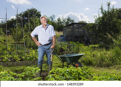 Happy Senior Man Standing In Community Garden