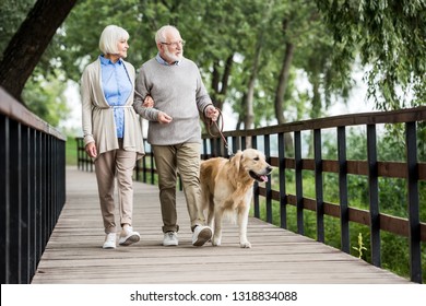 happy senior wife and husband walking with dog in park - Powered by Shutterstock