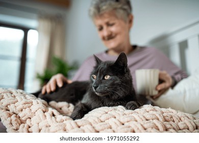 Happy senior woman with cat resting in bed at home.