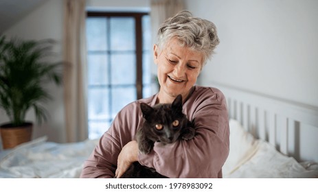 Happy senior woman with cat resting in bed at home.