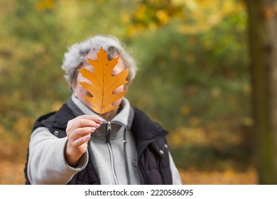 Happy senior woman covering her face with brown oak leaf in the autumn city park, close-up. Nature background.