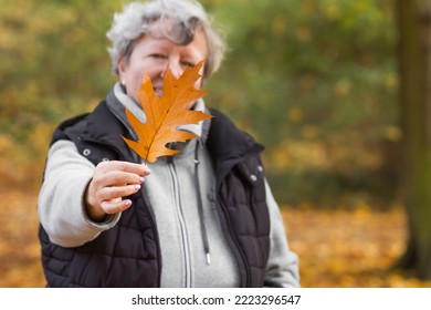 Happy senior woman covering her face with brown oak leaf in the autumn city park, close-up. Nature background.