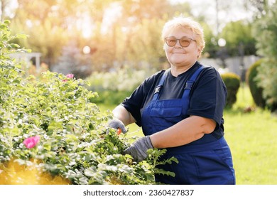 Happy senior woman cutting hedge with clippers, gardener working with scissors in garden. - Powered by Shutterstock
