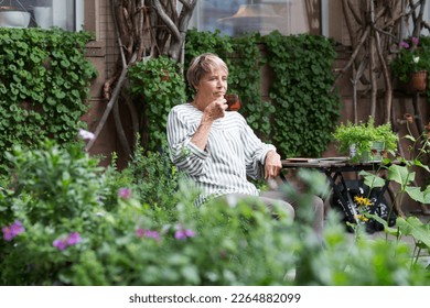 happy senior woman drinking tea in the garden in which fragrant herbs grow near the house in summer.  enjoying summer outdoors. - Powered by Shutterstock