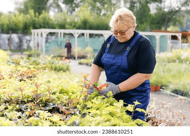 Happy senior woman gardener working with scissors in garden. Female farmer cutting hedge with clippers. - Powered by Shutterstock