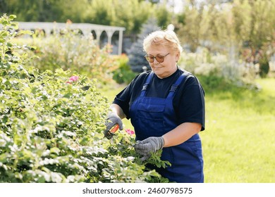 Happy senior woman gardener working with scissors in garden. Female farmer cutting hedge with clippers. - Powered by Shutterstock