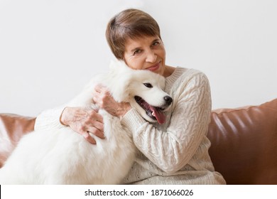 Happy Senior Woman Hugging Dog  Samoyed Husky Sitting On Sofa