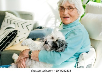 Happy Senior Woman Hugging Her Poodle Dog At Home.