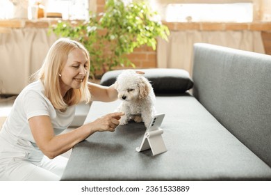 Happy senior woman lying on sofa, using phone and internet app for videocall while pet dog nearby. Concept of using gadgets and technology by older people - Powered by Shutterstock