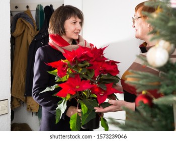 Happy Senior Woman Meeting At Home Her Adult Daughter Visiting Mother With Poinsettia Flower On New Year Eve

