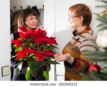 Happy Senior Woman Meeting At Home Her Adult Daughter Visiting Mother With Poinsettia Flower On New Year Eve..