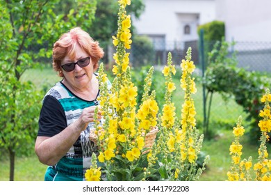 Frauen Garding