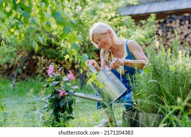 Happy senior woman taking care of flowers outdoors in garden, watering with can.