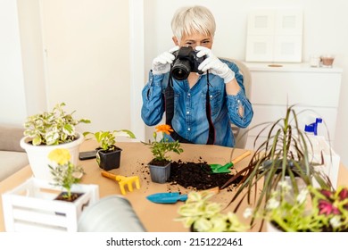 Happy Senior Woman Taking Pictures Of Green Plants And Flowers With A Camera. Mature Woman Gardener Taking Picture Of Green Plants And Flowers With Her Camera. Home Garden Workplace.