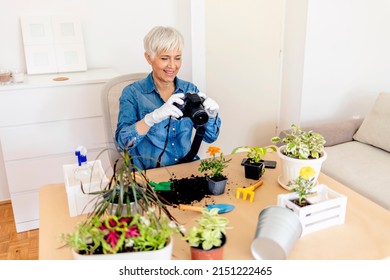 Happy Senior Woman Taking Pictures Of Green Plants And Flowers With A Camera. Mature Woman Gardener Taking Picture Of Green Plants And Flowers With Her Camera. Home Garden Workplace.