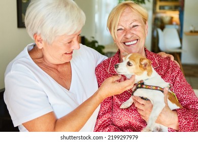 Happy seniors have fun with a small dog as a pet and therapy dog - Powered by Shutterstock