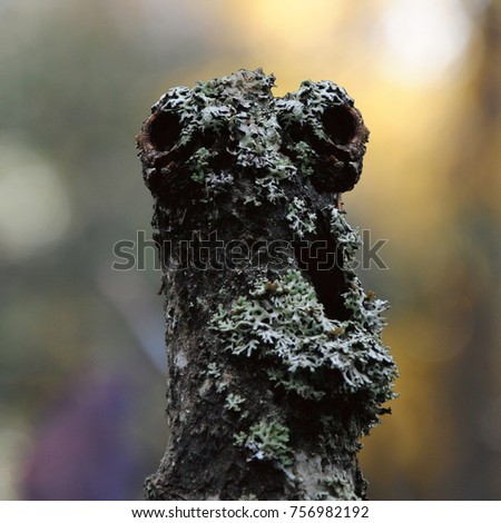Happy singing treeman