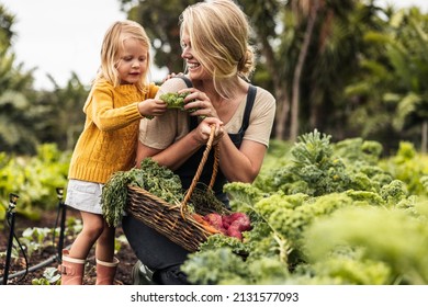 Happy single mother picking fresh vegetables with her daughter. Cheerful young mother smiling while showing her daughter fresh kale in an organic garden. Self-sufficient family gather fresh produce.