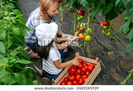 Similar – Image, Stock Photo Children and senior woman putting apples inside of wicker baskets